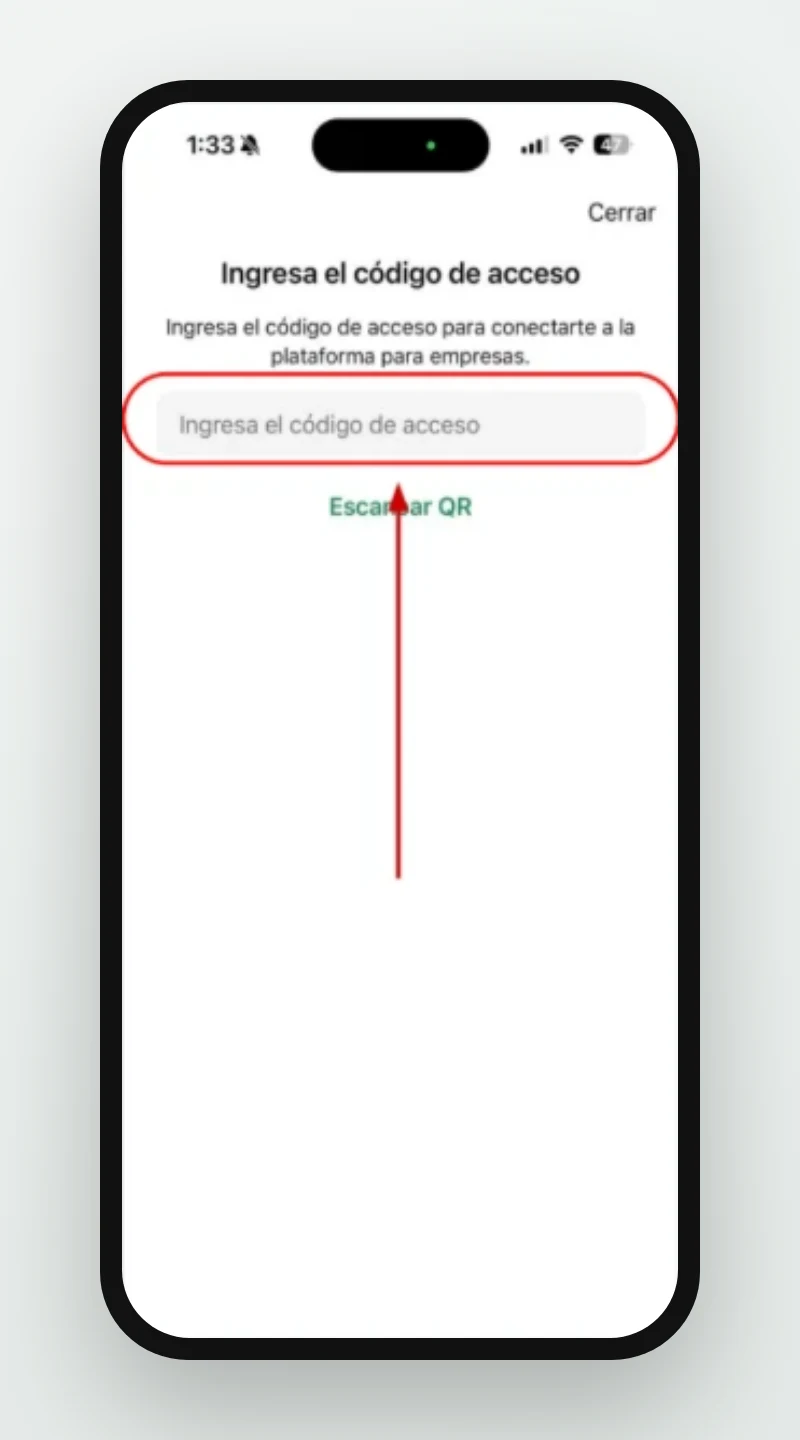 2 de 2: Campo para escribir el código de acceso que da el equipo de soporte